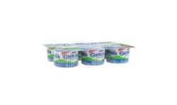 Danone Dan.Pt Gervais Fr 3.2%Mg6X60G