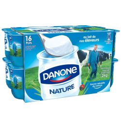 Danone Yaourt Nature 16X125G