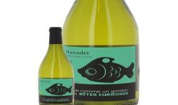 Domaine Les Bêtes Curieuses Muscadet Sèvre Et Maine Frais Comme Un Gardon Blanc 2016
