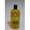 Energie Fr 500Ml Sh.Ch.Sec Ylang/M.Energ.