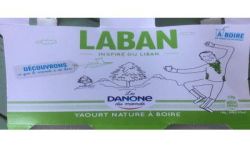 Petits Gervais Danone Laban Nature 2X250G
