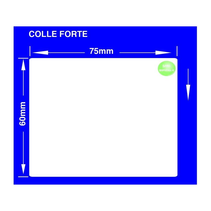 1Er Prix 12Rouleaux 2000 Et 75X60X76Mm Ssbpa