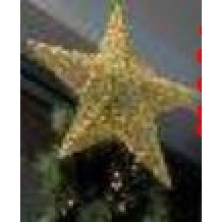 1Er Prix 2 Etoiles 3D Or 60 Cm