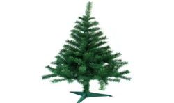 Im Im/Sapin Canadien Vert 1M20