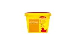 Maggi 1,4Kg Bouillon Volaille 70L