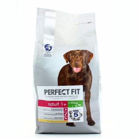 Perfect Fit F Chien Adult-10K 6Kg