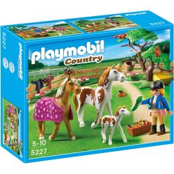 Playmobil Playmo Chevaux Et Enclos