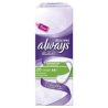 Always Ps Dailies Large X26