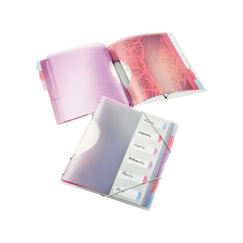 Esselte Trieur A4 6P. Solea