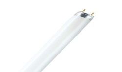 Ledvance Tube Stand.1,20M/36W/ Blc Rose