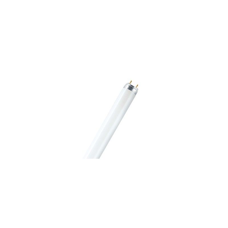 Ledvance Tube Stand.1,20M/36W/ Blc Rose