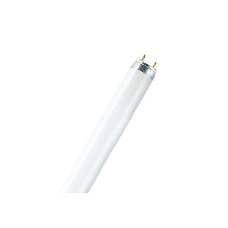 Ledvance Tube Stand.1,20M/36W/ Blc Rose
