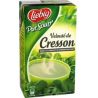 Liebig Soupe Cresson : La Brique De 1 L