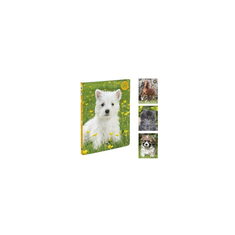 Animaux Cahier Classeur A4