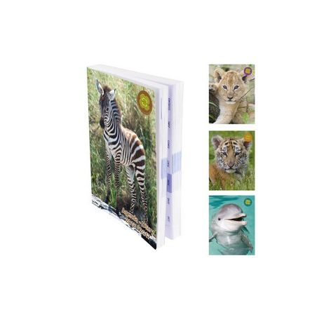 Clairefontaine Agenda Scol12X17 384P Sauvage