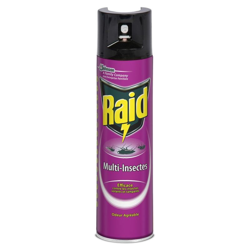 Raid Aero Multi Insectes 400Ml