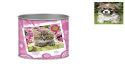 Crayon Pot Crayons Fant. Animaux