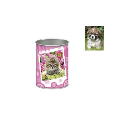 Crayon Pot Crayons Fant. Animaux