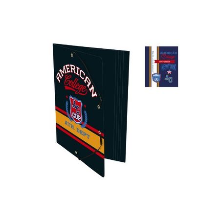 American C Americ.Chem.Elasaint 3 Rbt 24X32