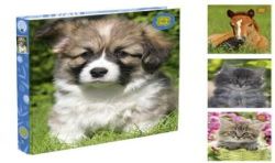 Classeur 210X297 Animaux Dome