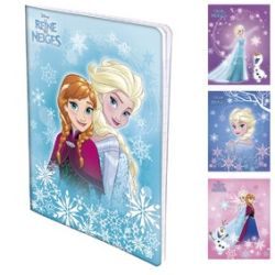 Reine Desn D Neige Cah Piq 17X22