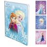 Reine Desn D Neige Cah Piq 17X22