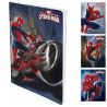 Spiderman Cah Piq 17X22 96P