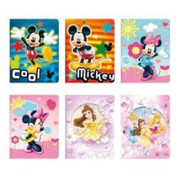 Disney Cahier 17X22 48P Seyes