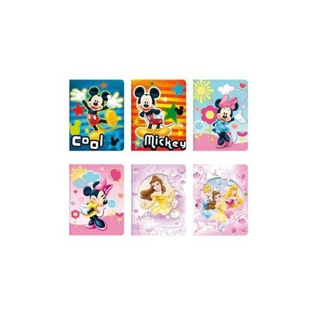 Disney Cahier 17X22 48P Seyes