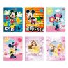 Disney Cahier 17X22 48P Seyes