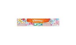 Kleenex Collect Etuis Mini X15