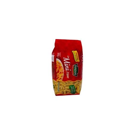 Panzani Pâtes Pennetini 500G