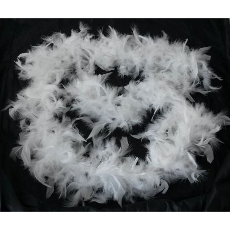 Goodmark Boa Plumes 180Cm 37G - Blanc