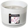 Plasaint Team Boite Hermetique Hambourg 1.7L