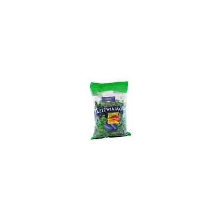 Wawel Karmelki Luz Refreshing Mint 1000G