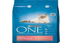 Purina One Spécial Chat Stérilisé - Saumon Et Blé 3Kg