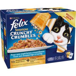 Felix 10X100G Crunchy Poissons