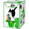 Felix L8 1X2Eminc.Gele.Felix Os