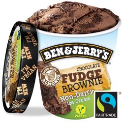 Ben & Jerry'S 500Ml Pot Vegan Choco Fud B&J