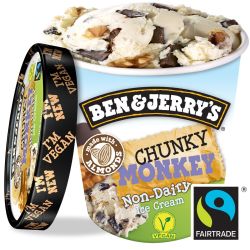 Ben & Jerry'S 500Ml Pot Vegan Chunky Mo B&J