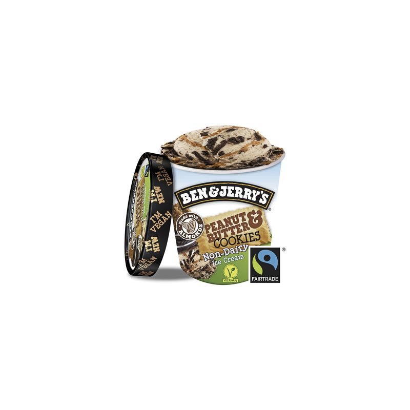 Ben & Jerry'S 500Ml Pot Vegan Peanut B&J