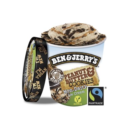 Ben & Jerry'S 500Ml Pot Vegan Peanut B&J