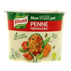 Knorr 72G Veggie Pot Penne
