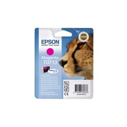Epson Cart Mag T0713