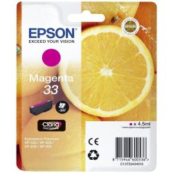 Epson Cartouche Orange 33M