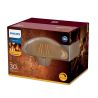 Philips Philip Amp.Led V.Fil 5-30W E27