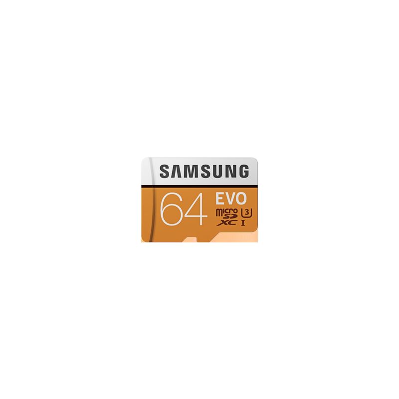 Samsung Carte Microsd Evo 64Go