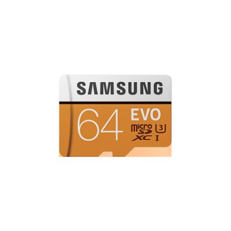 Samsung Carte Microsd Evo 64Go