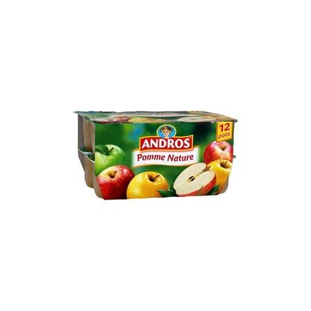 Andros Dessert Fruitier Pomme 12X100G