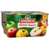 Andros Dessert Fruitier Pomme 12X100G